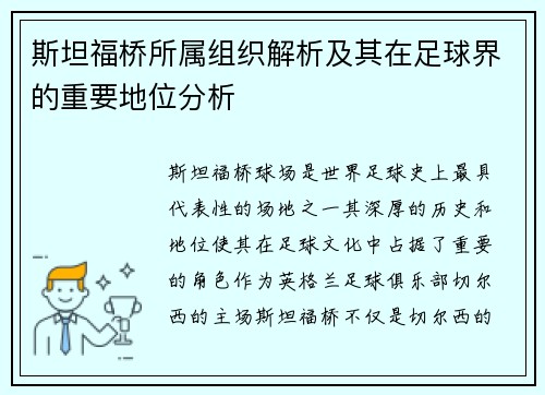 斯坦福桥所属组织解析及其在足球界的重要地位分析