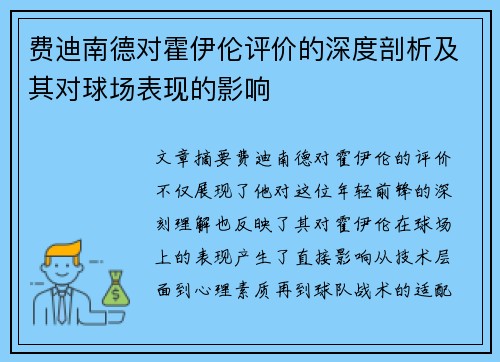 费迪南德对霍伊伦评价的深度剖析及其对球场表现的影响